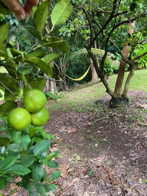 Villa Coco Caraibes Деше Гваделупа