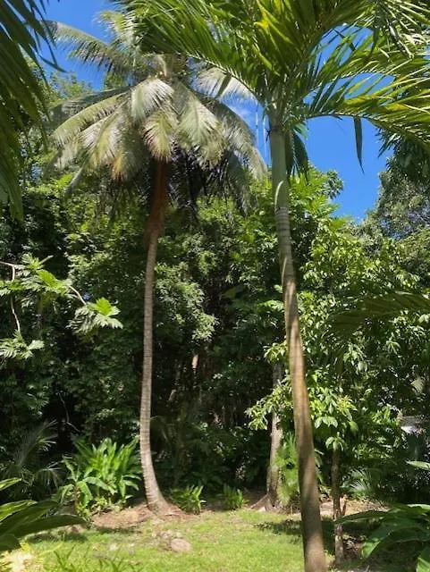 Villa Coco Caraibes Деше