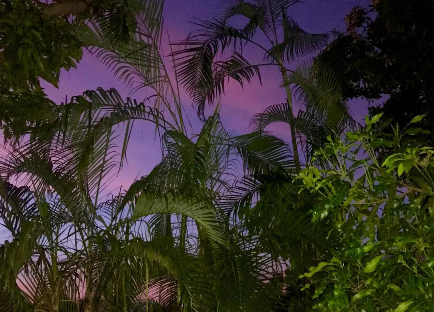 Villa Coco Caraibes Deshaies Prázdninový dům