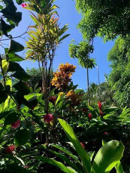 בית נופש דסהייס Villa Coco Caraibes
